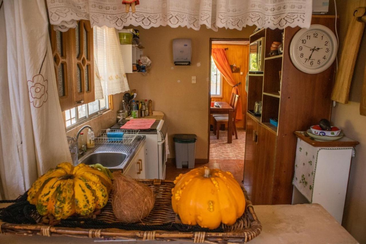 La Huerta Apartment Vicuna Exterior photo